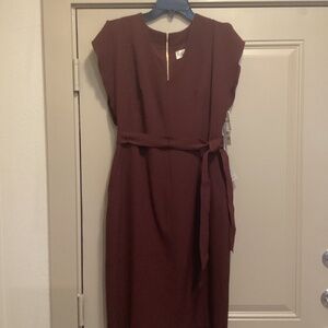 Eliza J Ruffle Sleeve Sheath Dress, size 10